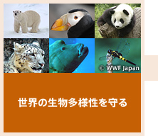 世界の生物多様性を守る