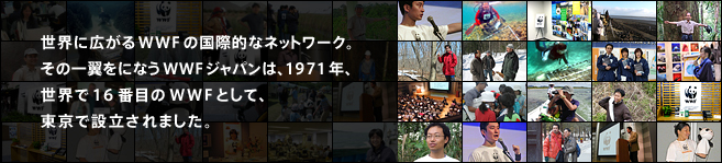 世界に広がるWWFの国際的なネットワーク。その一翼をになうWWFジャパンは、1971年、世界で16番目のWWFとして、東京で設立されました。