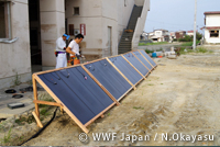 wwf_fukkou04.jpg