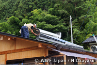 wwf_fukkou05.jpg