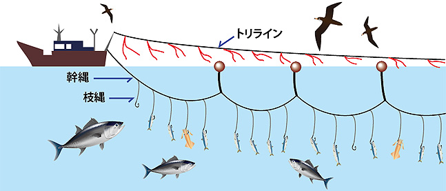 延縄漁業