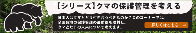 日本のクマについて