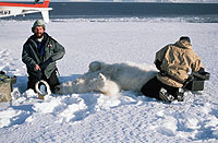 Photo(C)WWF-Canon / Tanya PETERSEN