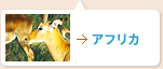 アフリカ