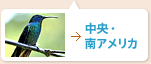 中央・南アメリカ
