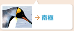 南極