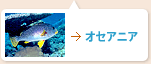 オセアニア