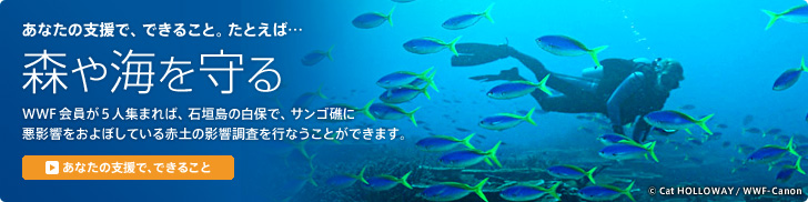 あなたの支援で、できること。たとえば… 森や海を守る WWF会員が5人集まれば、石垣島の白保で、サンゴ礁に悪影響をおよぼしている赤土の影響調査を行うことができます。 「あなたの支援でできること」を見る