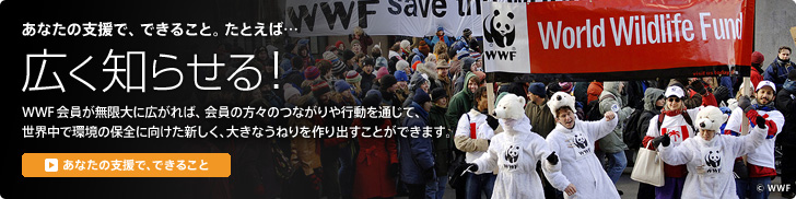 あなたの支援で、できること。たとえば… 広く知らせる! WWF会員が無限大に広がれば、会員の方々のつながりや行動を通じて、世界中で環境の保全に向けた新しく、大きなうねりを作り出すことができます。 「あなたの支援でできること」を見る