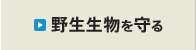 野生生物を守る