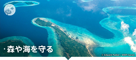森や海を守る