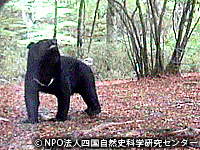 20091028a.jpg