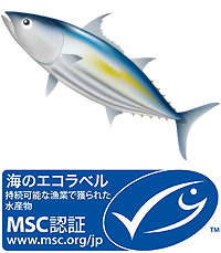 MSCカツオ漁
