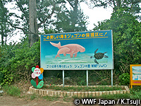 20091204g.jpg