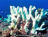 20091225f.jpg
