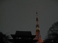 20100328c.jpg
