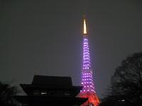 20100328d.jpg