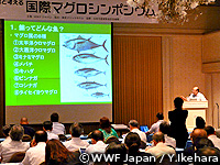 20100907a.jpg