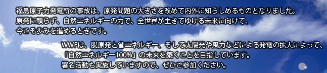福島原子力発電所の事故は、原発問題の大きさを改めて内外に知らしめるものとなりました。
原発に頼らず、自然エネルギーの力で、全世界が生きてゆける未来に向けて、
今こそ歩みを進めるときです。
WWFは、脱原発と省エネルギー、そして太陽光や風力などによる発電の拡大によって、
「自然エネルギー100%」の未来を築くことを目指しています。
署名活動も実施していますので、ぜひご参加ください。