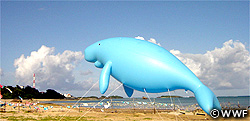 dugong2010b.jpg