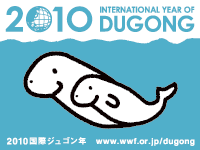 2010年国際ジュゴン年
