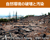 自然環境の破壊と汚染
