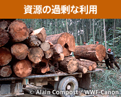 資源の過剰な利用