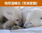 地球温暖化(気候変動)