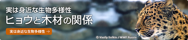 実は身近な生物多様性 ヒョウと木材の関係 実は身近な生物多様性