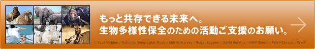 もっと共存できる未来へ。生物多様性保全のための活動ご支援のお願い。