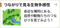 身近な場所にある、自然や動物たちのつながりを見てみよう！