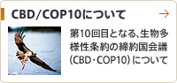 CBD／COP10について 第10回目となる、生物多様性条約の締約国会議（CBD・COP10）について