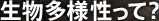 生物多様性って？