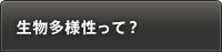 生物多様性って？