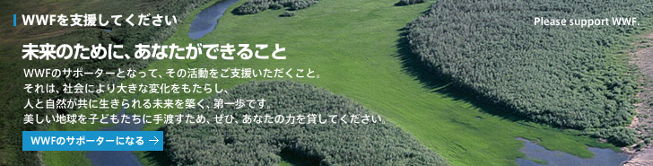 WWFを支援してください 未来のために、あなたができること WWFのサポーターとなって、その活動をご支援いただくこと。それは、社会により大きな変化をもたらし、人と自然が共に生きられる未来を築く、第一歩です。 美しい地球を子どもたちに手渡すため、ぜひ、あなたの力を貸してください。 未来のために、あなたができること