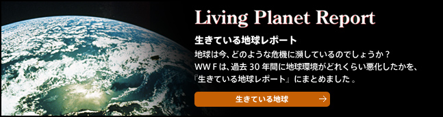 生きている地球レポート 地球は今、どのような危機に瀕しているのでしょうか？WWFは、過去30年間に地球環境がどれくらい悪化したかを、『生きている地球レポート』にまとめました 。 生きている地球