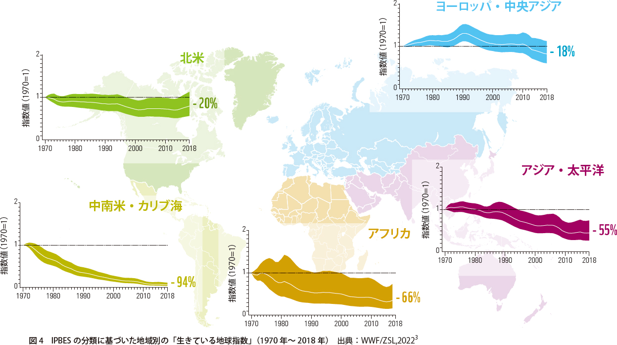 IPBES の分類に基づいた地域別の「生きている地球指数」（1970 年〜2018 年）