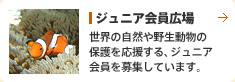 ジュニア会員広場 世界の自然や野生動物の保護を応援する、ジュニア会員を募集しています。