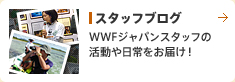 スタッフブログ WWFジャパンスタッフの活動や日常をお届け!