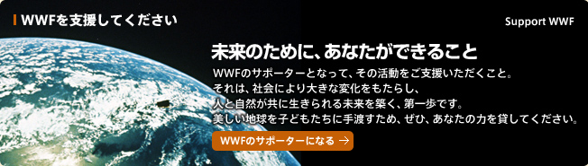 WWFを支援してください 未来のために、あなたができること WWFのサポーターとなって、その活動をご支援いただくこと。それは、社会により大きな変化をもたらし、人と自然が共に生きられる未来を築く、第一歩です。美しい地球を子供たちに手渡すため、ぜひ、あなたの力を貸してください。 WWFのサポーターになる