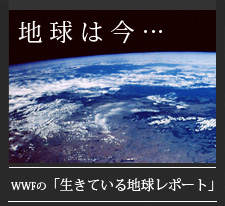 地球は今・・・　 WWFの「生きている地球レポート」