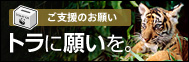 ご支援のお願い トラに願いを。
