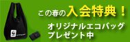 2012春の入会キャンペーン