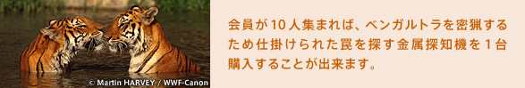会員が10人集まれば、ベンガルトラを密猟するため仕掛けられた罠を探す金属探知機を1台購入することが出来ます。