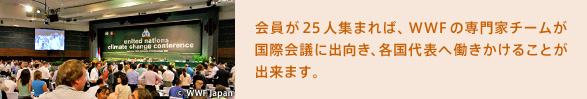 会員が25人集まれば、WWFの専門家チームが国際会議に出向き、各国代表へ働きかけることが出来ます。