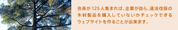 会員が125人集まれば、企業が自ら、違法伐採の木材製品を購入していないかチェックできるウェブサイトを作ることが出来ます。