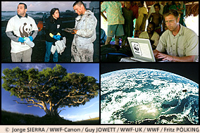 &copy; Jorge SIERRA / WWF-Canon / Guy JOWETT / WWF-UK / WWF / Fritz PÖLKING