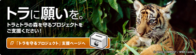 トラに願いを。 トラとトラの森を守るプロジェクトをご支援ください！ 「トラを守るプロジェクト」支援ページへ