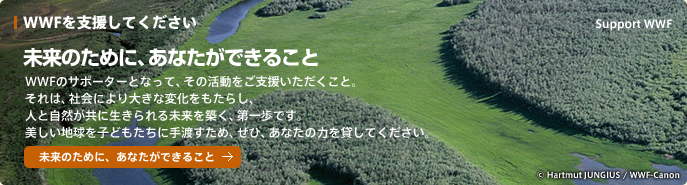 WWFを支援してください 未来のために、あなたができること WWFのサポーターとなって、その活動をご支援いただくこと。それは、社会により大きな変化をもたらし、人と自然が共に生きられる未来を築く、第一歩です。 美しい地球を子どもたちに手渡すため、ぜひ、あなたの力を貸してください。 未来のために、あなたができること