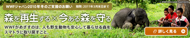 WWFジャパ
ン 2010年冬のご支援のお願い